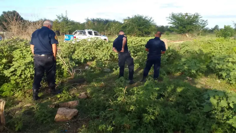 El hallazgo se produjo por un vecino de la zona