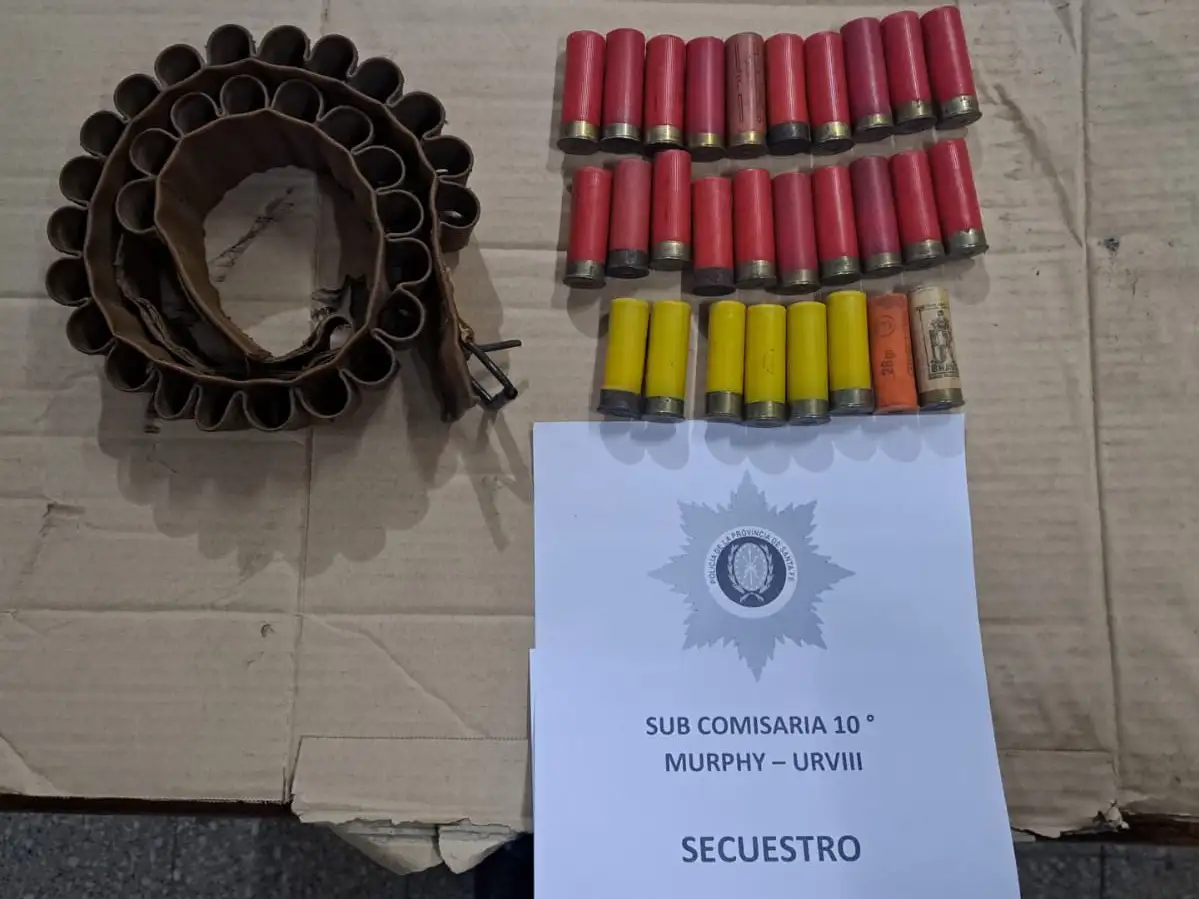 Secuestraron 28 cartuchos de distintos calibres.