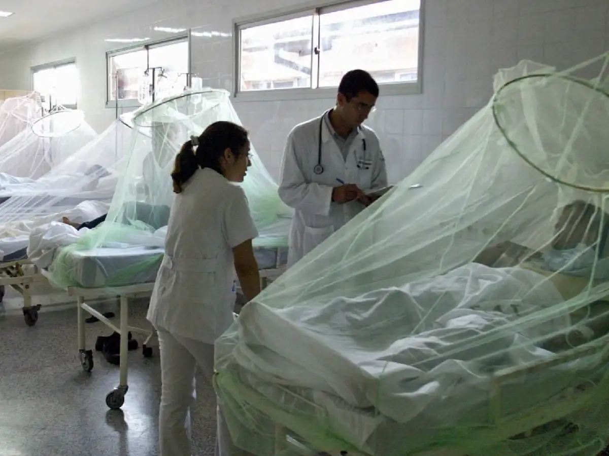 Dengue: confirmaron tres muertes en Tucumán y los casos siguen en aumento en todo el país