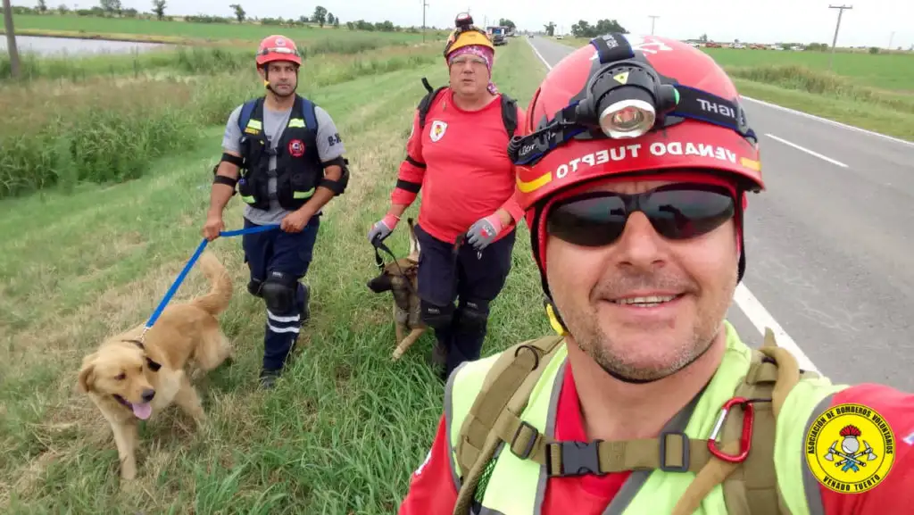 perros bomberos - 1