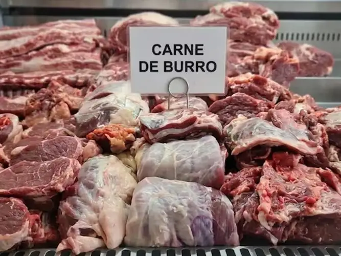 Algunas carnicerías del sur argentino ya ofrecen estos productos.