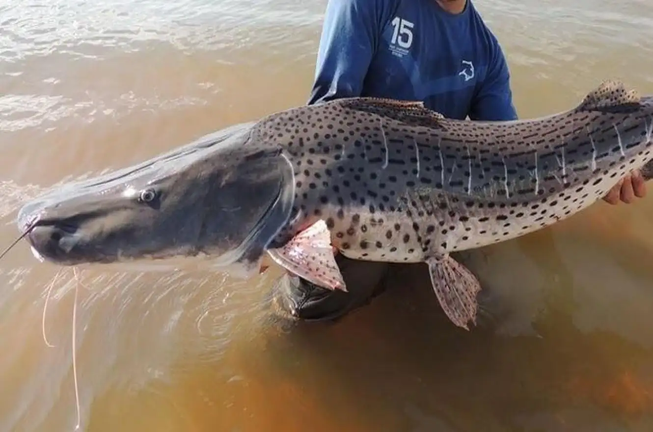 Se presentó el 35° Concurso Argentino de Pesca del Surubí