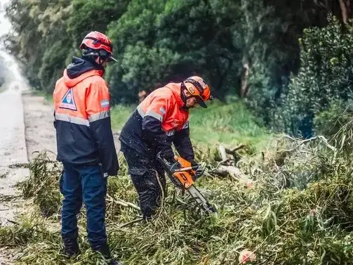 Tras el cese del alerta por tormentas y viento, Defensa Civil continúa moniteoreando y trabajando en reclamos