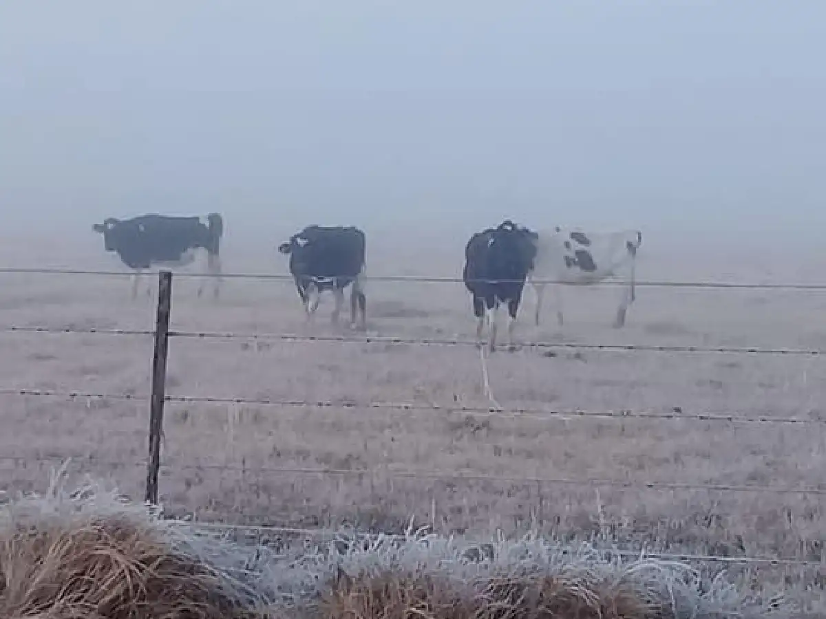Miércoles frío y temperaturas bajo cero