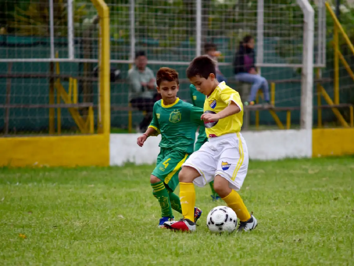 Las posiciones del Torneo Apertura
