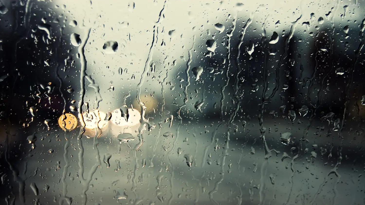 Informe de lluvias en la ciudad