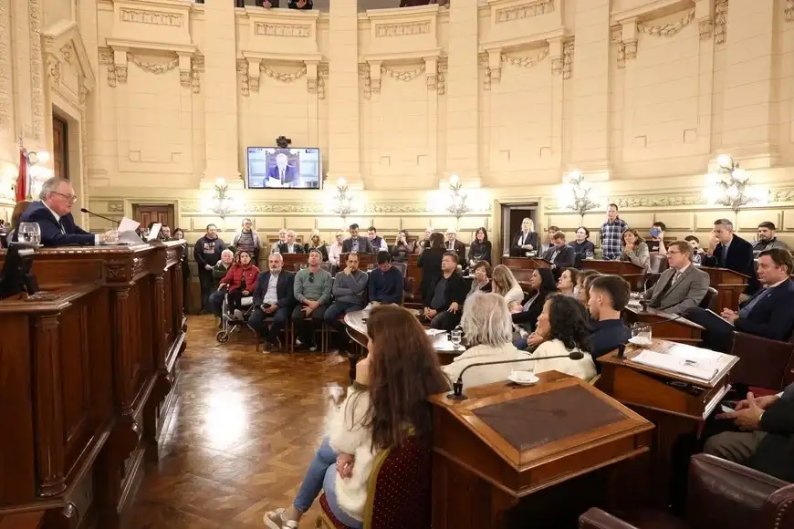 Cámara de senadores
