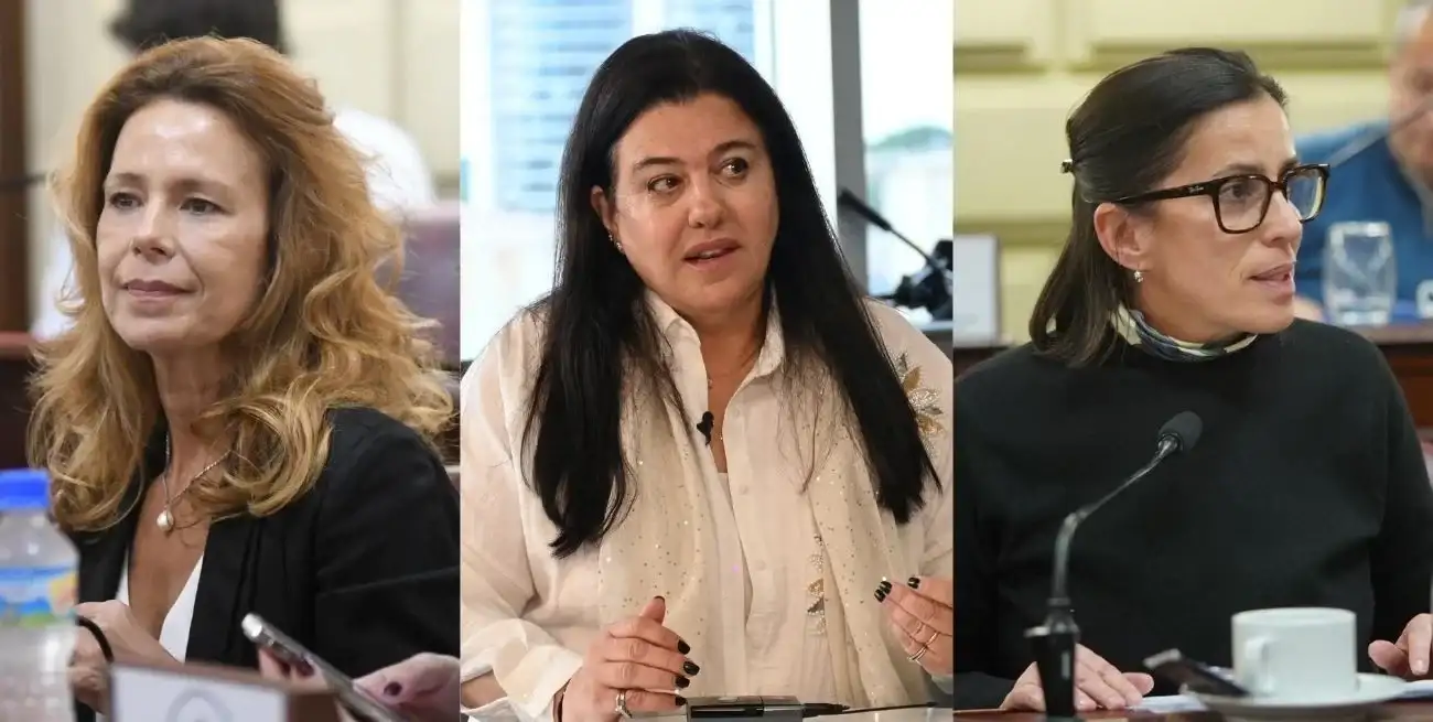 Astrid Hummel, Fernanda Castellani y Ximena Sola, las diputadas del PRO.
