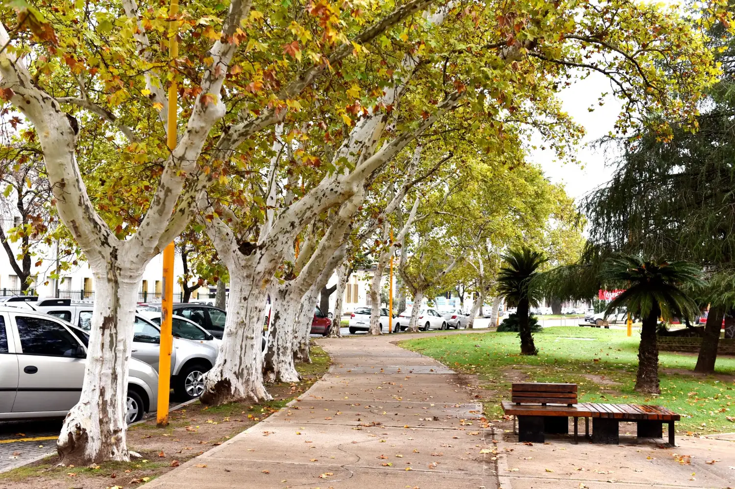 El otoño se asienta en San Francisco con nubes y probabilidad de lluvia