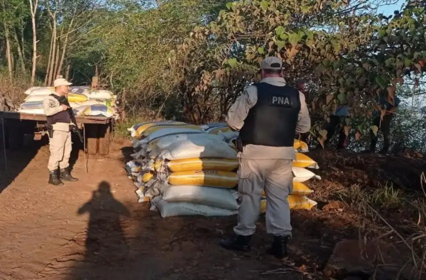 Megaoperativo en Misiones: Prefectura desarticuló una maniobra de exportación ilegal