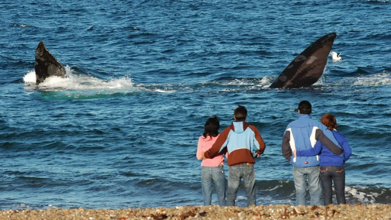 Vacaciones de invierno: seis de cada diez argentinos gastará menos que el año pasado