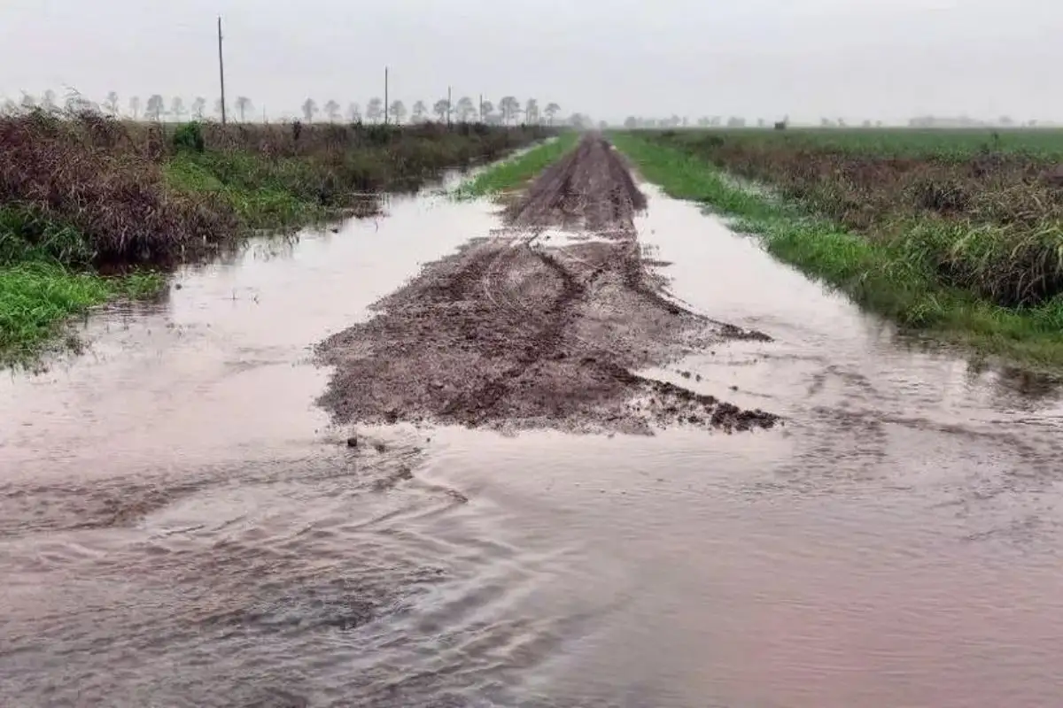 Esta condición climática, nuevamente intervino de forma negativa en el proceso de cosecha