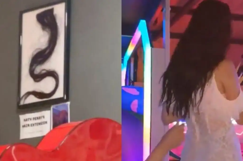 Insólito robo a Katy Perry