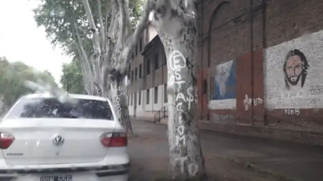 Rosario: los cuidacoches pintan árboles con las tarifas por estacionar