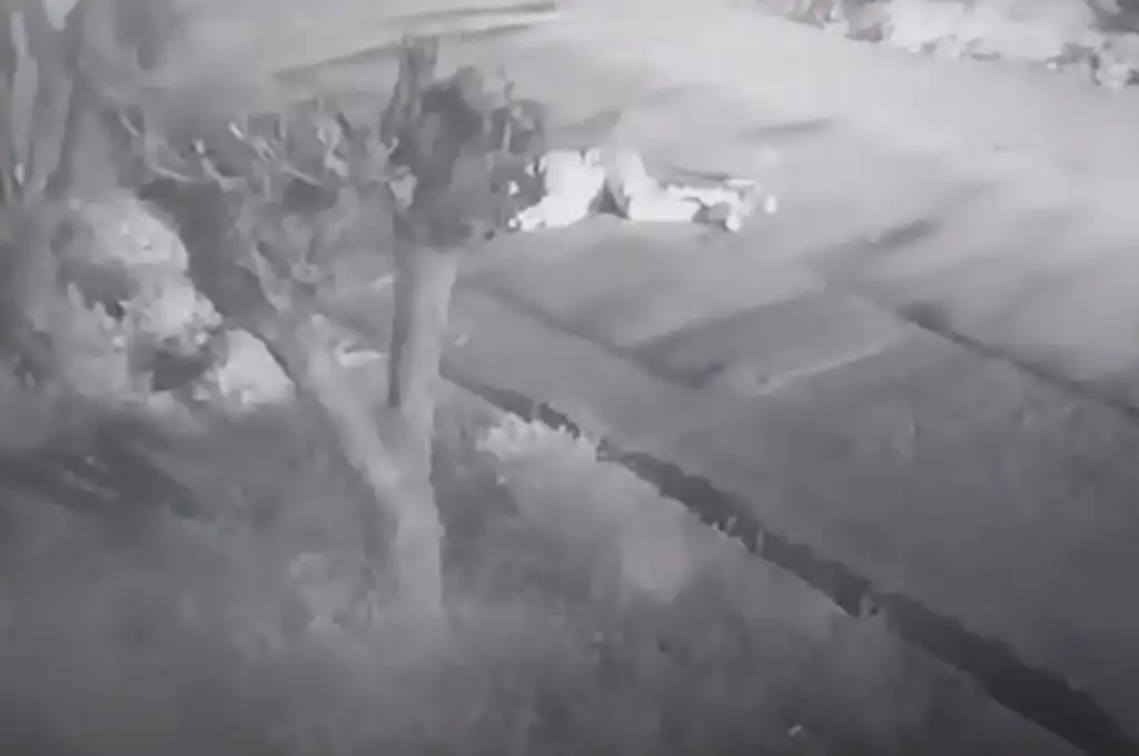 Delincuente muerto en intento de robo