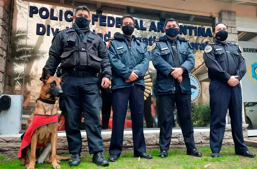 "Afrika", el perro designado por Policía Federal al aeropuerto de Mar del Plata