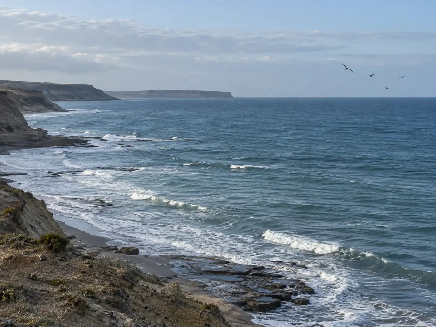 Denuncian a siete pesqueras por presunto contrabando en el Mar Argentino