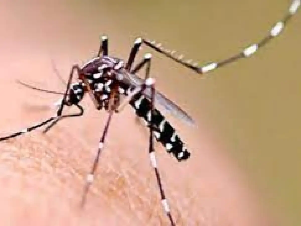 Confirmaron una muerte por dengue y 5.000 casos