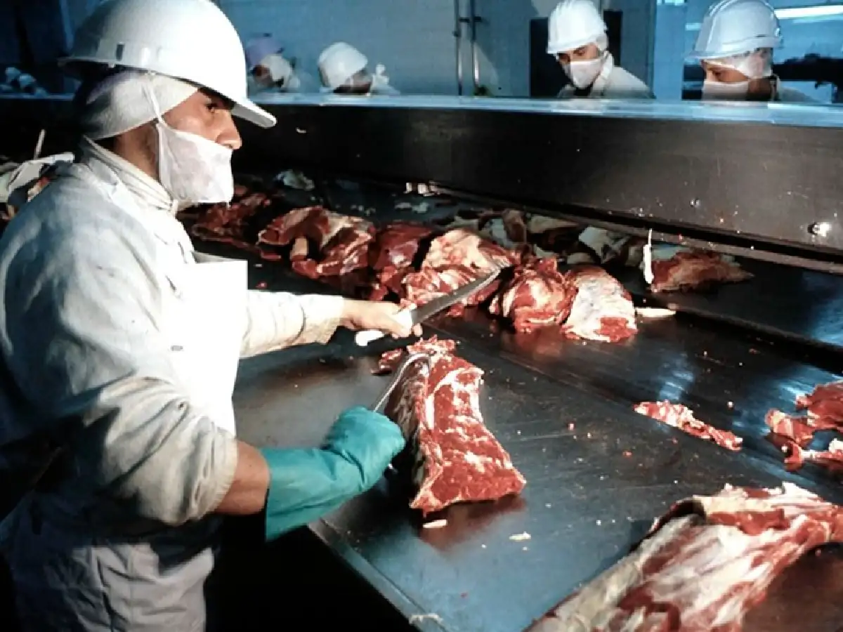 Duras críticas a las restricciones sobre las exportaciones de carnes: las consideran "nefastas"