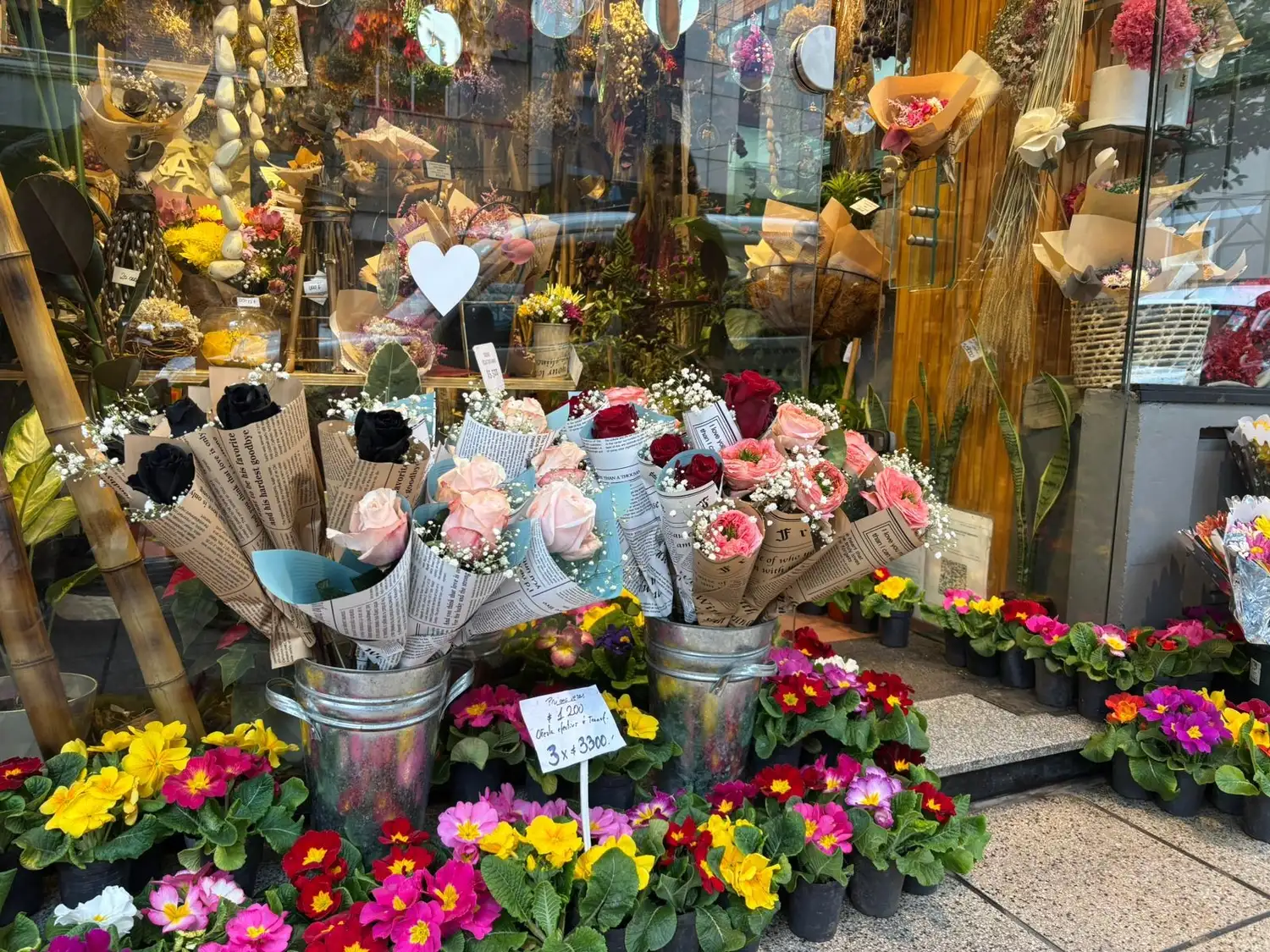 Está de mora regalar flores, pero también tienen salida las plantas de interior.