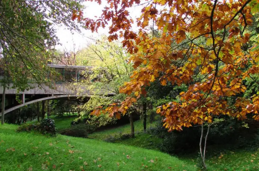 La Casa sobre el Arroyo es exhibida en el Museo de Arte Moderno de Nueva York