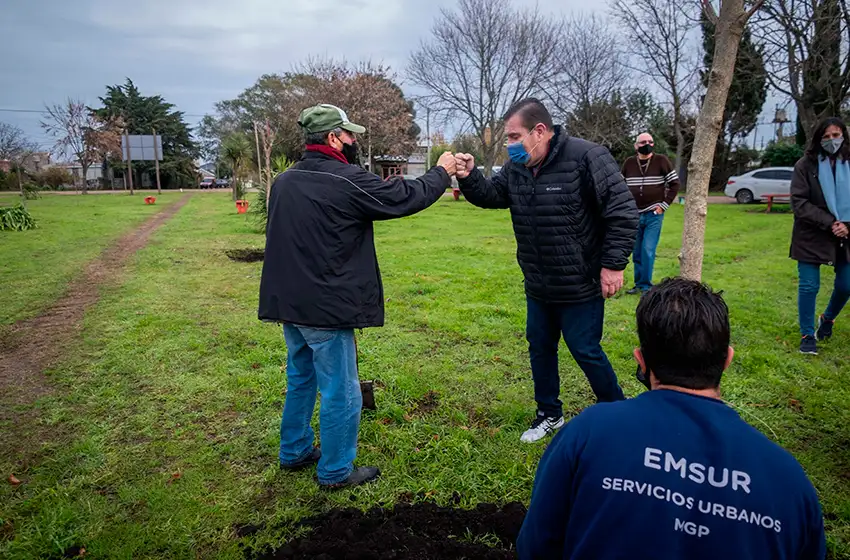 Prevén la plantación de alrededor de 6 mil árboles en más de 50 barrios marplatenses