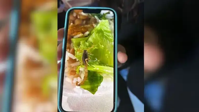 Encontraron un alacrán en el plato de un alumno en una escuela de Brasil.