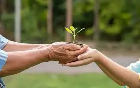 La Ley 27.592 o Ley Yolanda tiene como objetivo garantizar la formación integral de los funcionarios públicos en ambiente, con perspectiva de desarrollo sostenible y con especial énfasis en cambio climático.