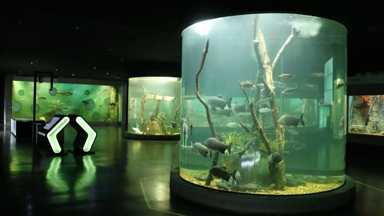 La convocatoria es para que todos puedan disfrutar del Acuario.