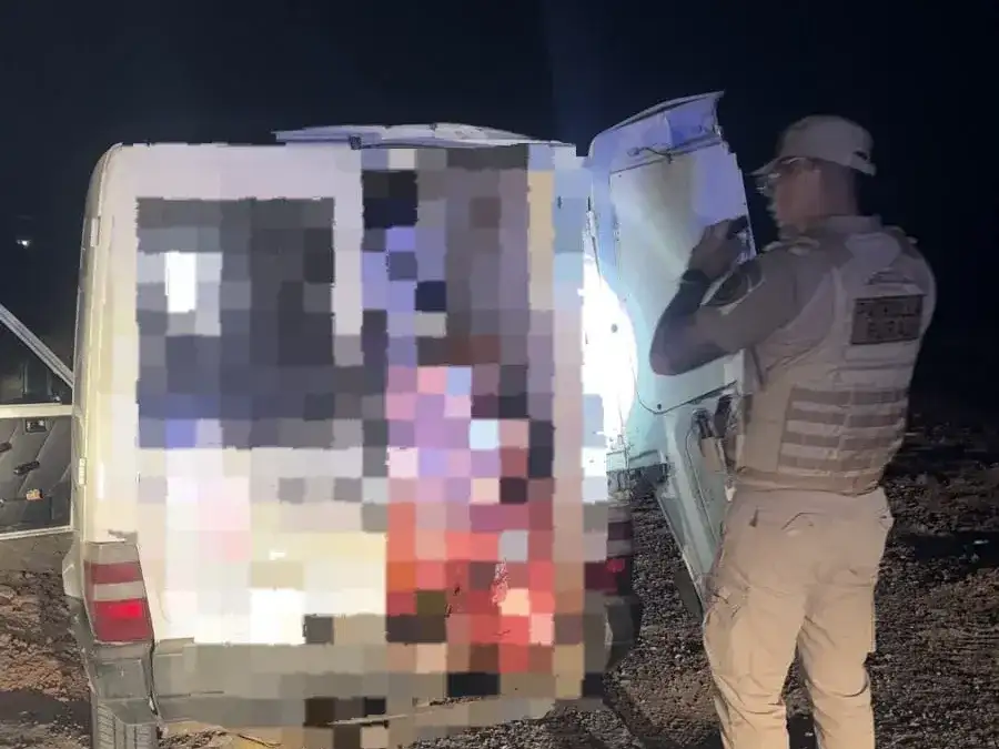 El cargamento no contaba con la documentación ni las medidas sanitarias.