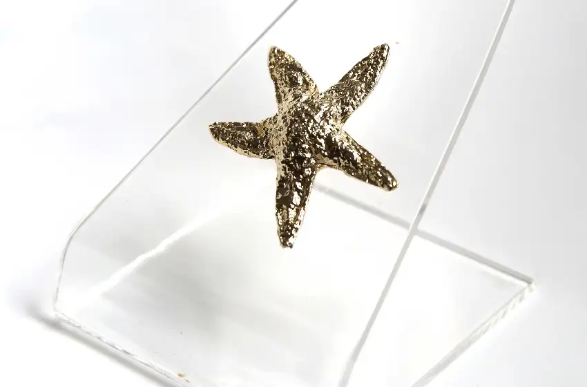 El viernes cierra la inscripción para participar de los premios "Estrella de Mar 2021"