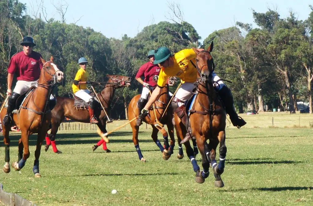 El polo tiene una nueva cita