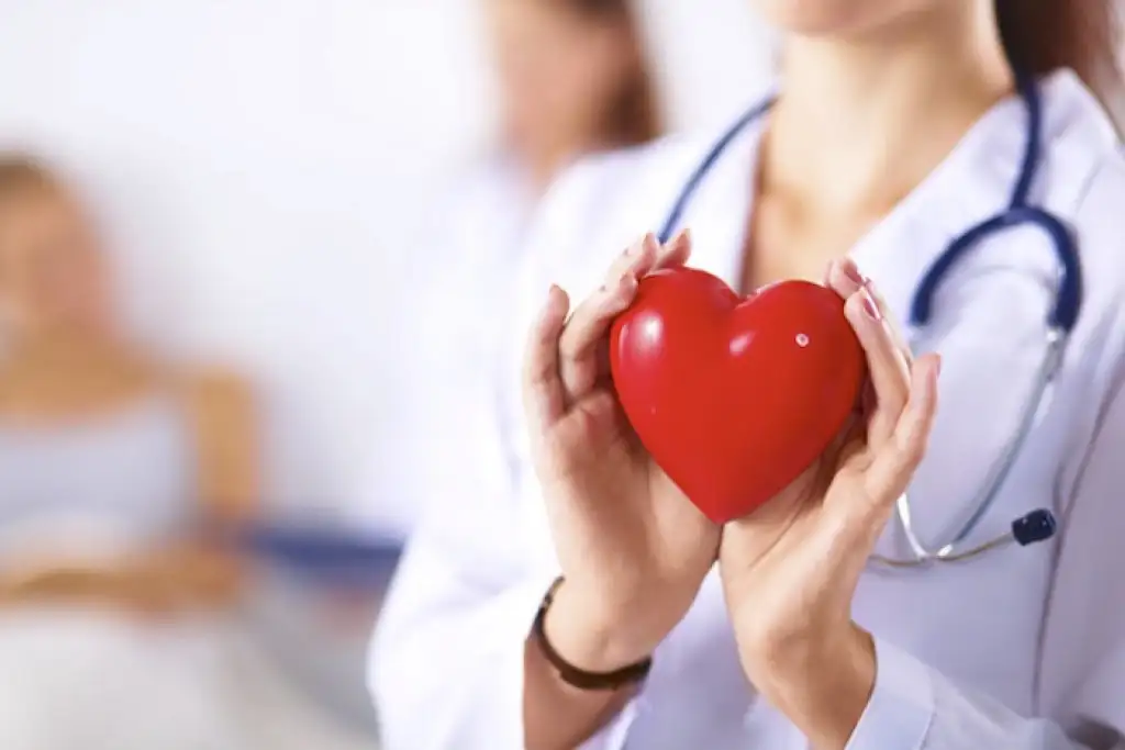 Cada 29 de septiembre se conmemora el Día Mundial del Corazón.
