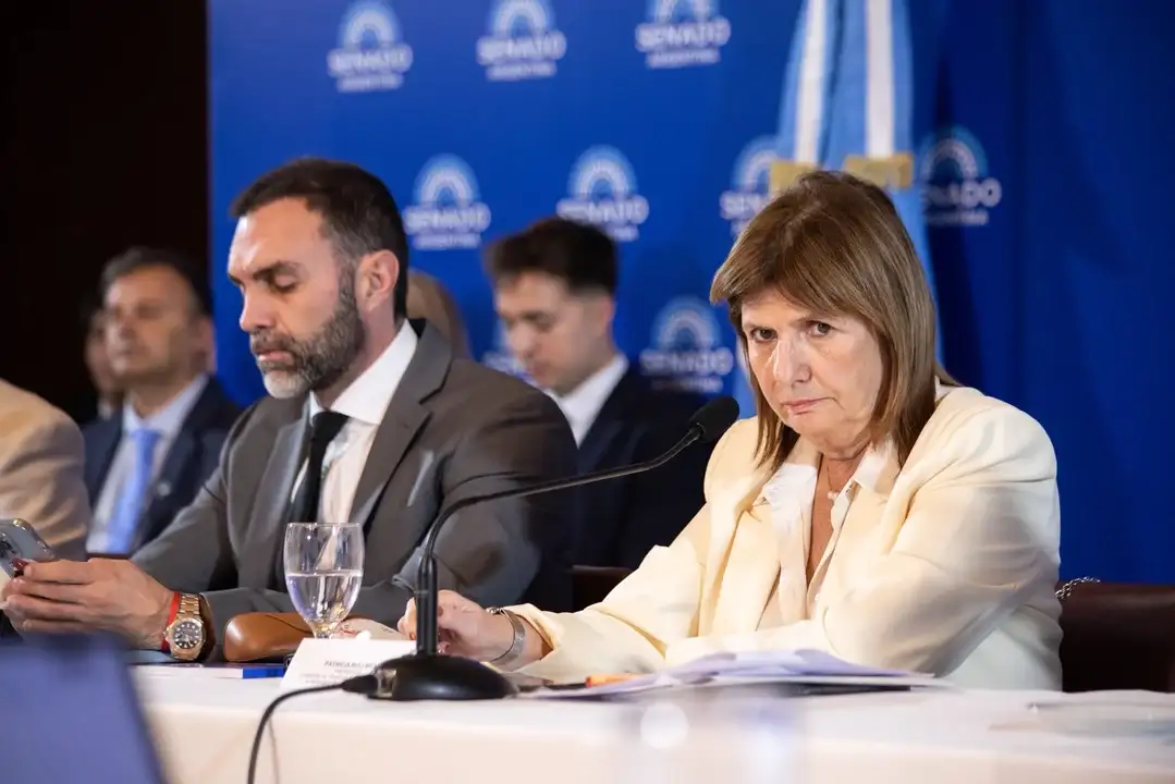 Patricia Bullrich jefa del bloque de NA