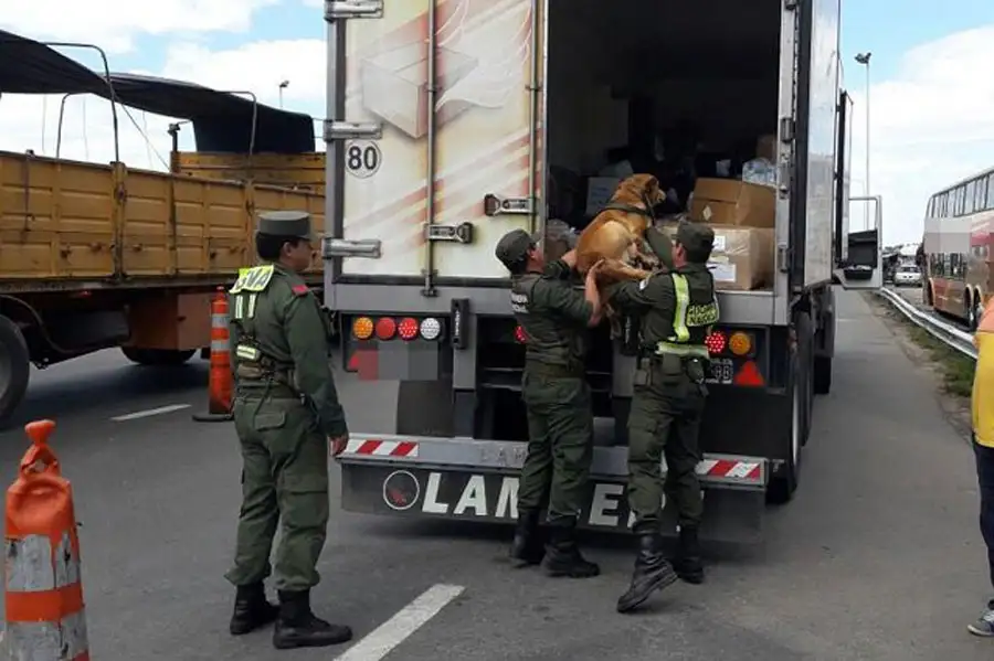 Decomisaron 15 kilos de marihuana que eran trasladados a Mar del Plata