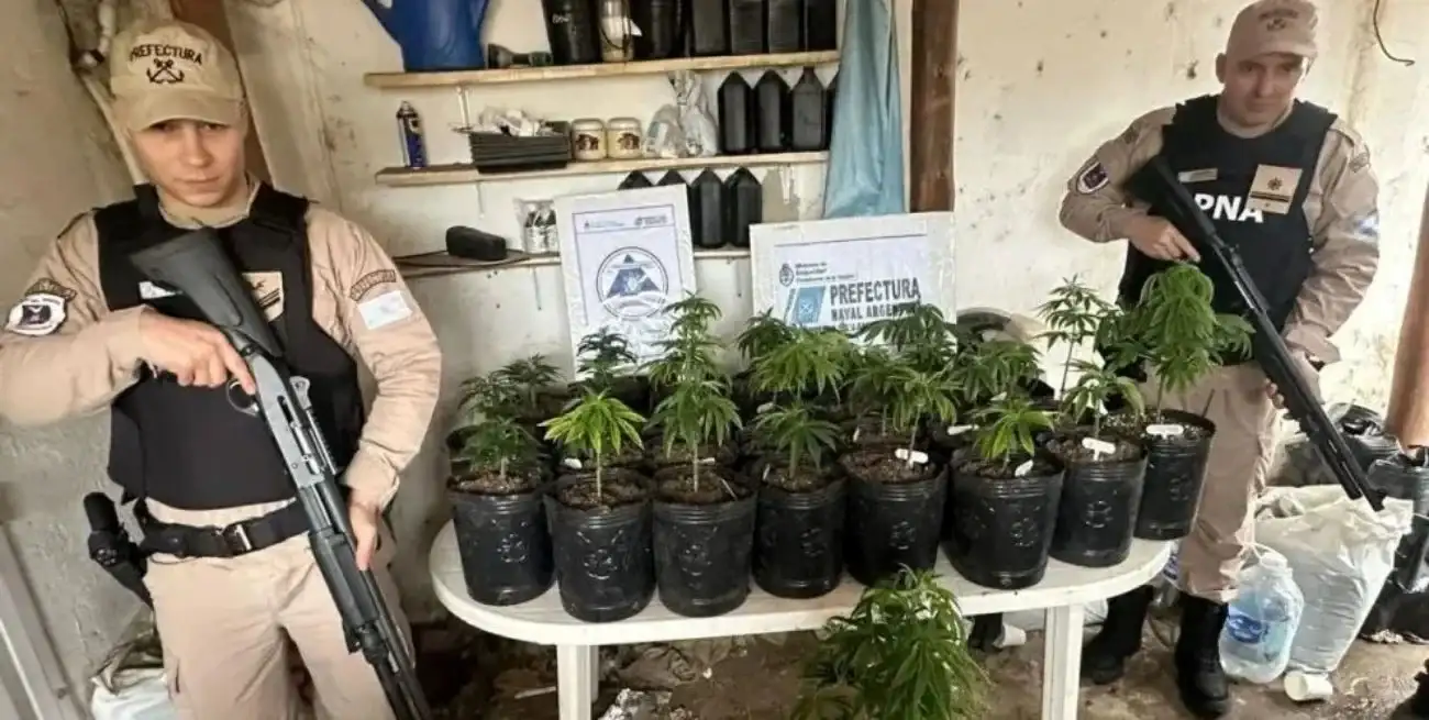 La droga estaba seccionada y lista para vender, y también se hallaron plantas y semillas de cannabis.