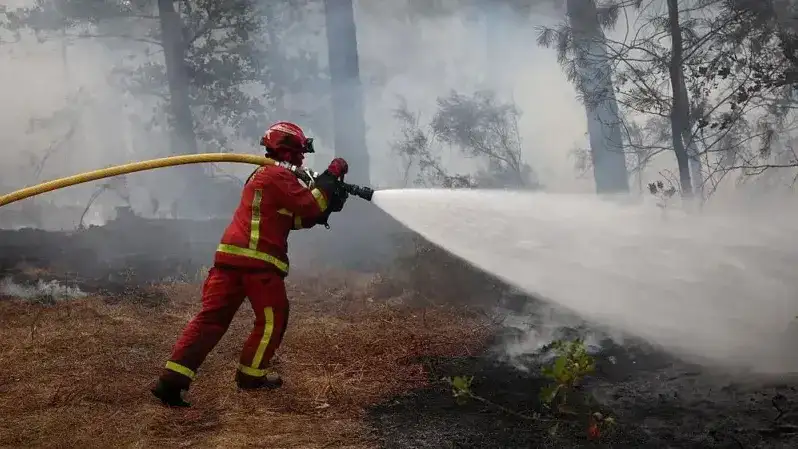 Los incendios forestales amenazan a Burdeos: más de 220.000 evacuados en el suroeste de Francia