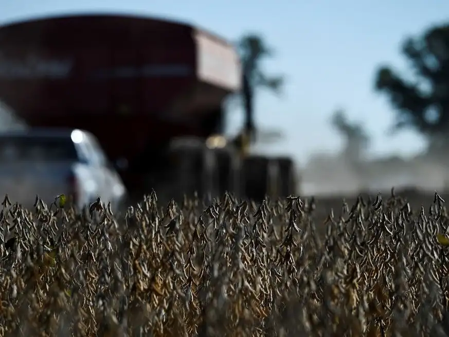 La campaña agrícola 2025/2026 arranca con alto potencial, pero bajo un escenario climático desafiante. Crédito: Reuters/Martin Cossarini