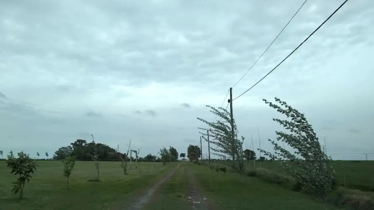 Las ráfagas de viento podrían alcanzar los 90 km/h. Ilustrativa