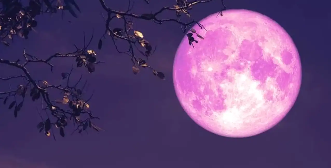 Luna rosa de abril 2023: cuándo se podrá ver y por qué se llama así el fenómeno astronómico