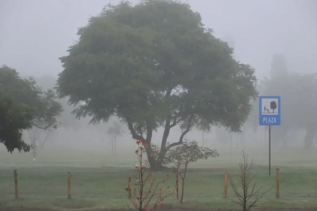 Niebla en Santa Fe
