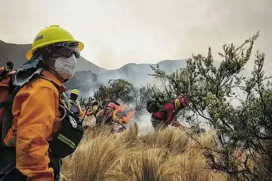 El Ejecutivo deberá destrabar fondos extra para atender la catástrofe ambiental que atraviesa la provincia
