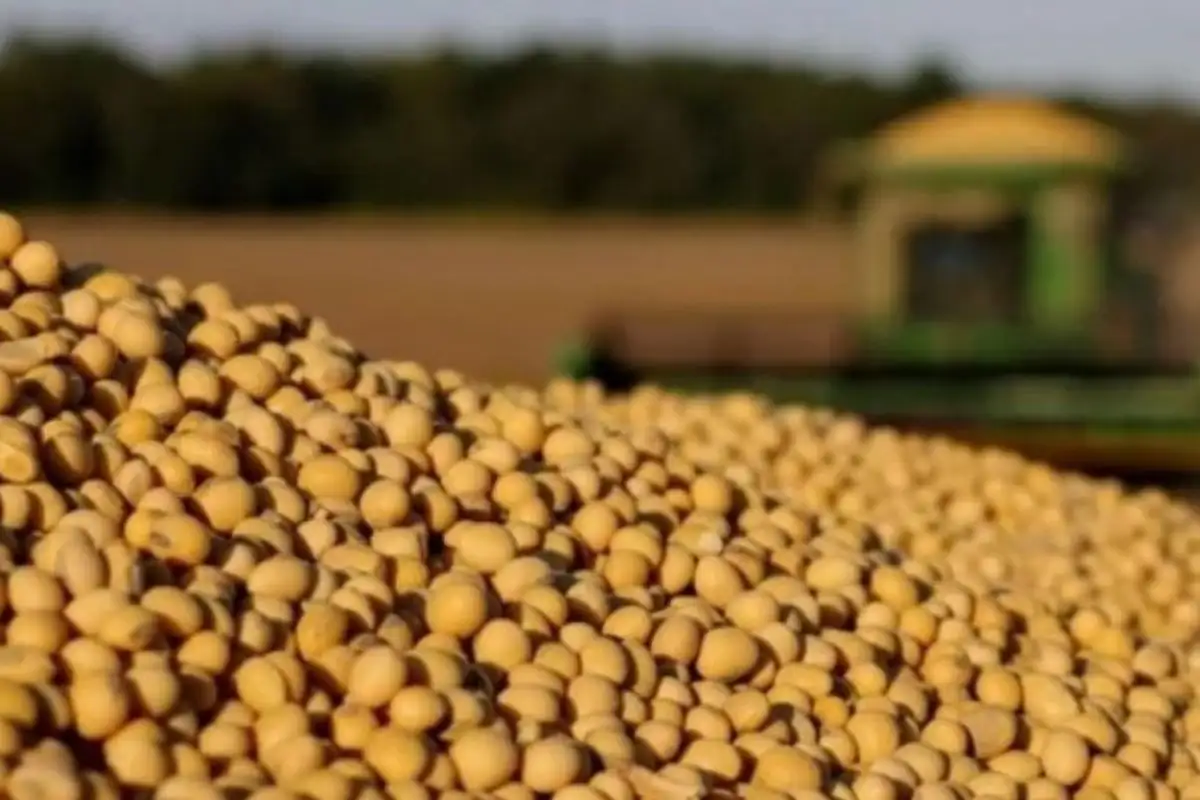 La agroindustria del centro-norte de Santa Fe aportará 468,3 millones de dólares en retenciones