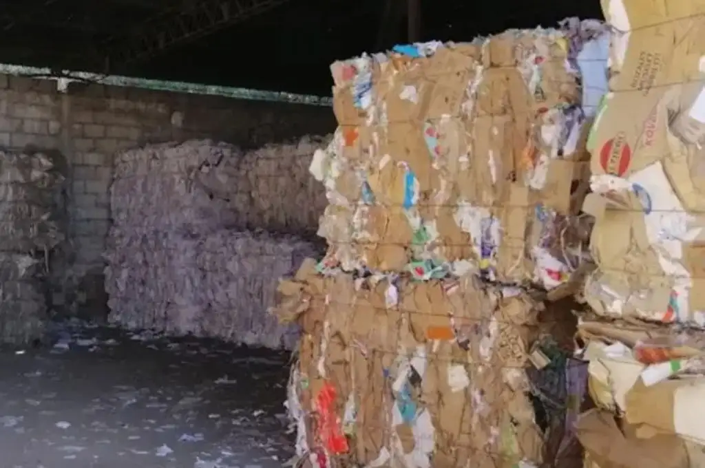 Tragedia en Mendoza: murió un operario de una recicladora trae caer en la compactadora