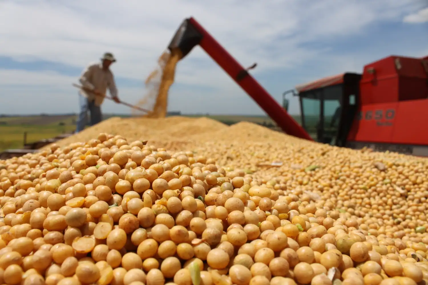 Para la Bolsa de Rosario habrá récord de soja