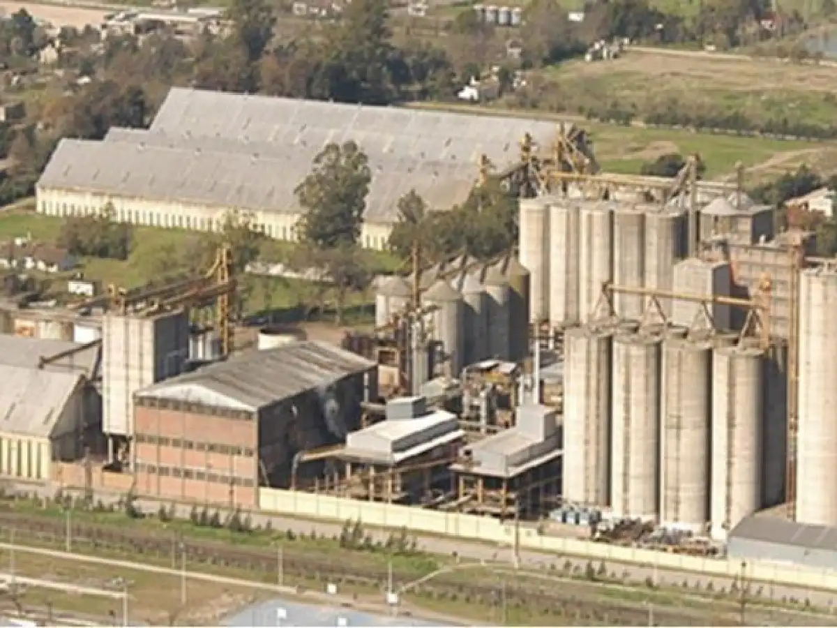 Molino Cañuelas debe USD 1.500 millones y mantiene en vilo a los principales bancos del sistema