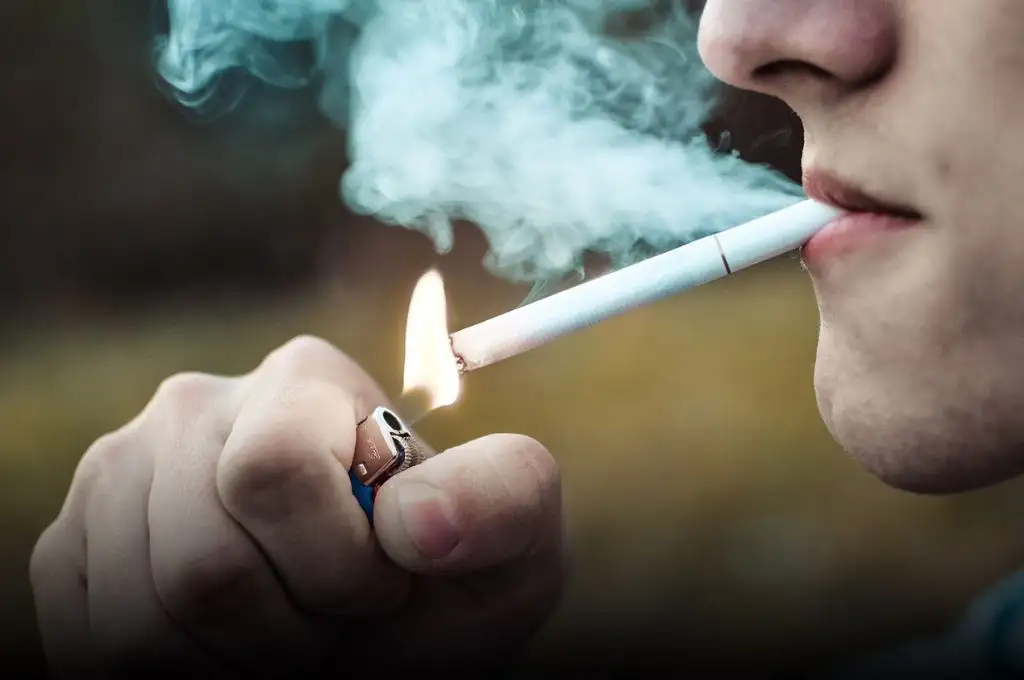 Día Mundial Sin Tabaco: el consumo del cigarrillo está vinculado con el 14% de muertes en Argentina