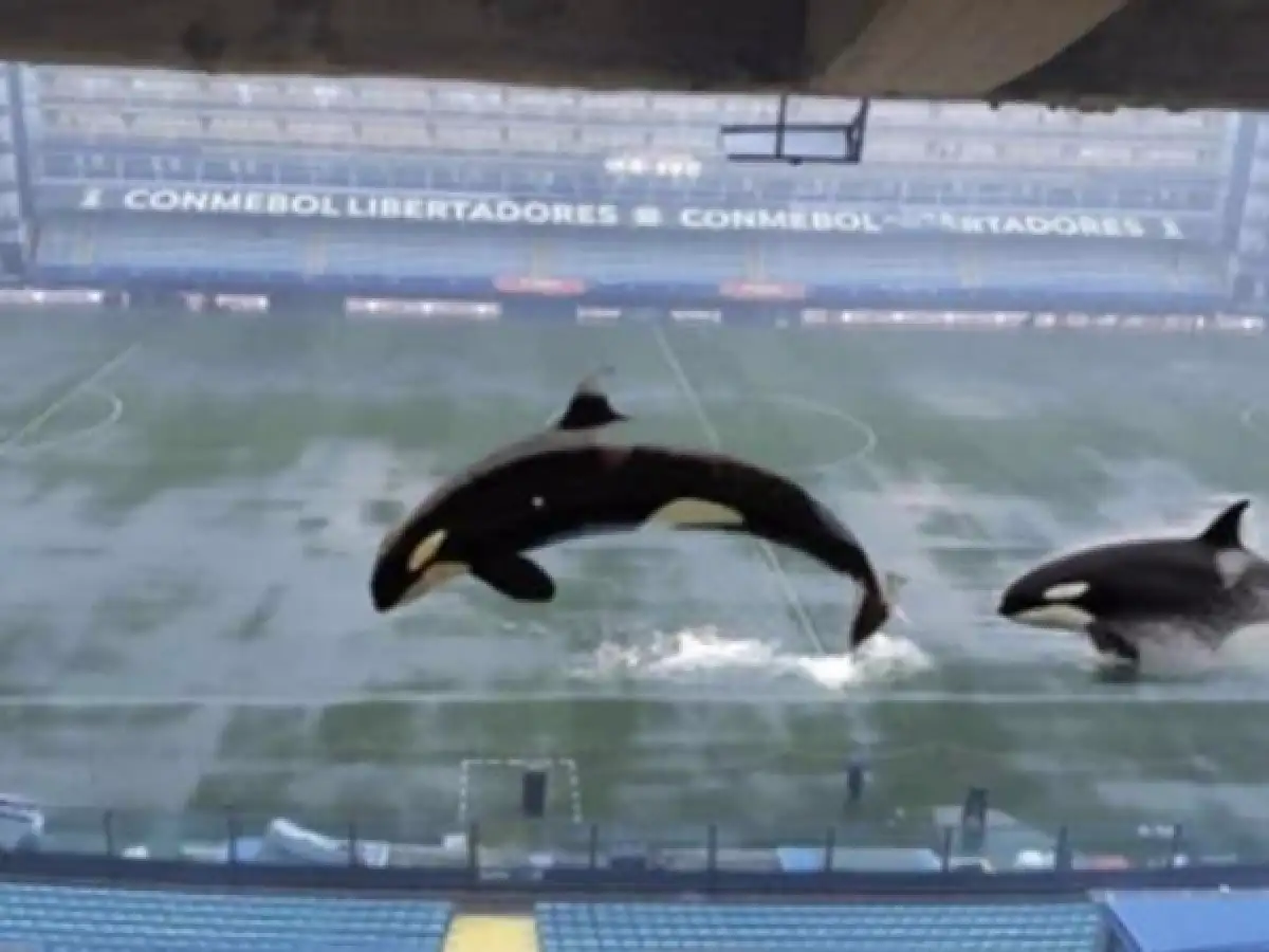 Los memes de la Superfinal que Boca y River no pudieron disputar por lluvia