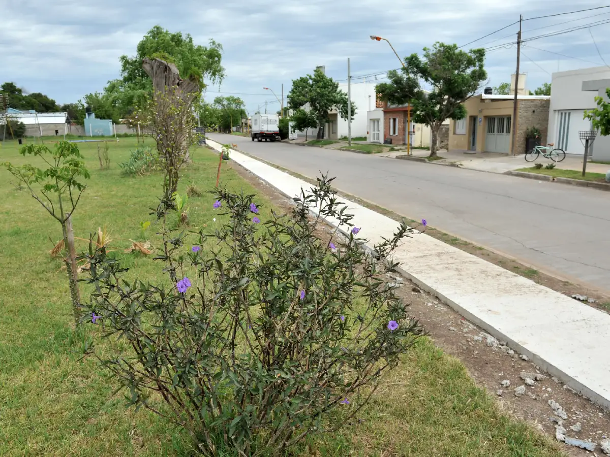El domingo, barrio Sarmiento  inaugurará su “Paseo del Belgrano”