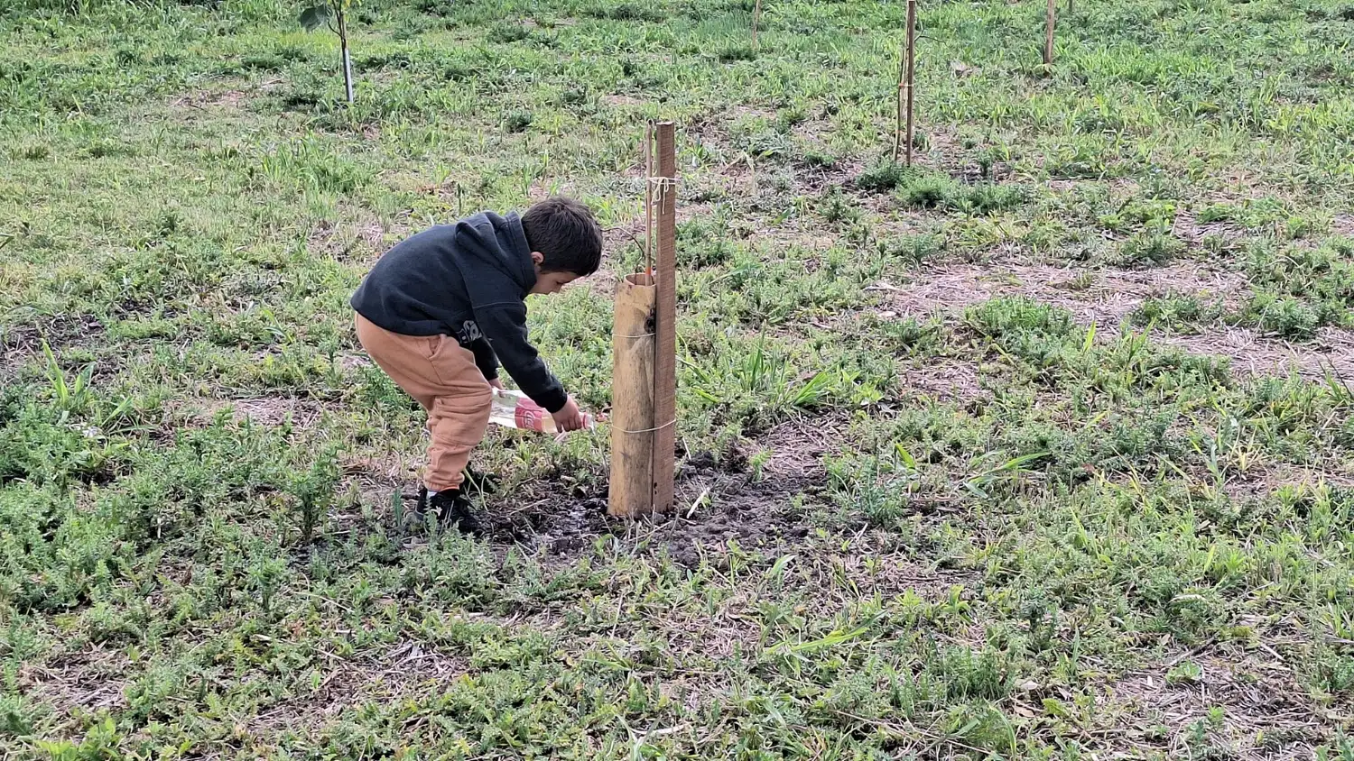 Niños del Jardín Bouchard visitaron el Vivero Municipal en el predio del Hogar de Ancianos Diehl de Sienra.